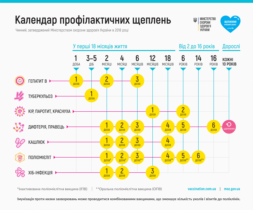 календарь вакцинации